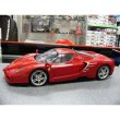 Photo1: 1/12 Ferrari Enzo Schumacher Decal (1)