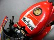 Photo2: 1/6'04 Ducati Desmo Tobacco Decal (2)