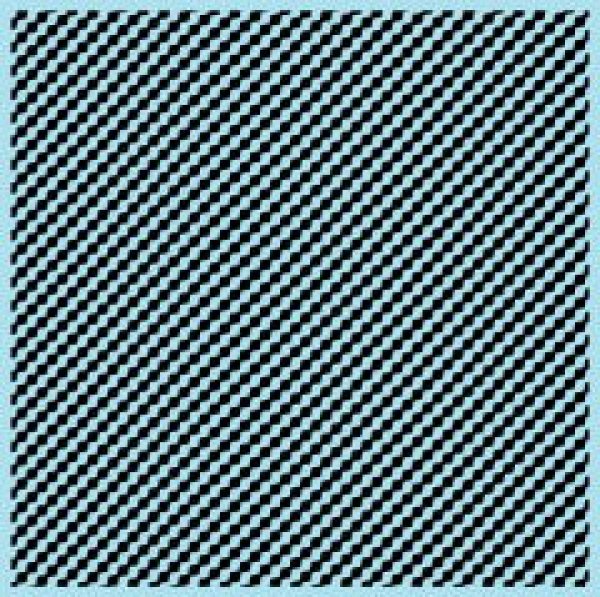 Photo2: Carbon decal set transmission type (2)