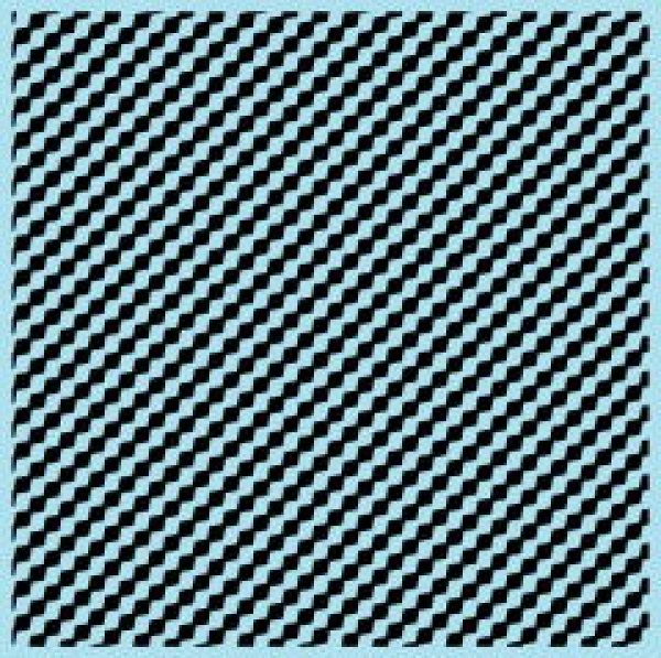 Photo3: Carbon decal set transmission type (3)