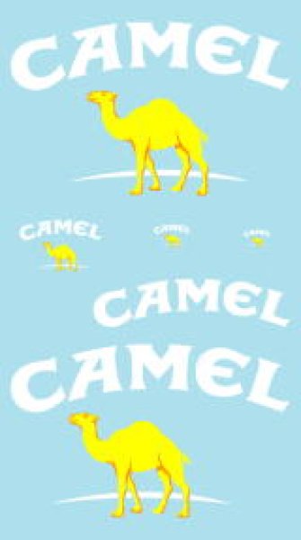 Photo4: 1/12 Yamaha YZR-M1'06 camel decal (4)