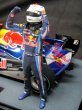 Photo1: 1/20 Red Bull RB6 Driver Decal (1)