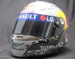 Photo1: 1/2 Helmet 2010 LG Logo Decal for Vettel (1)