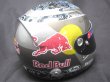 Photo8: 1/2 Helmet 2010 LG Logo Decal for Vettel (8)
