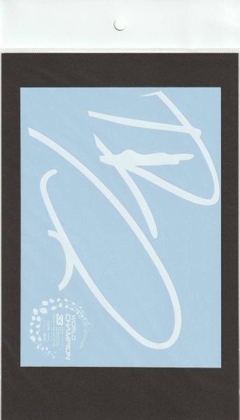 Photo10: 1/18 Red Bull RB16B final race additional logo decal (10)