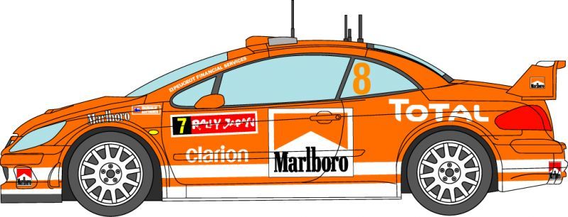 1/24 Peugeot 307 '04 Monte Carlo decal